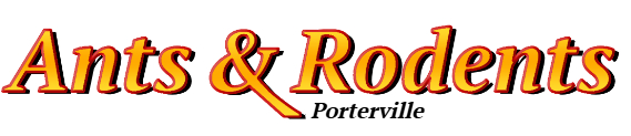 Porterville Ant Exterminator & Rodent Control Company Logo